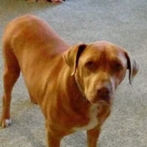 Meet your Posher, Ann